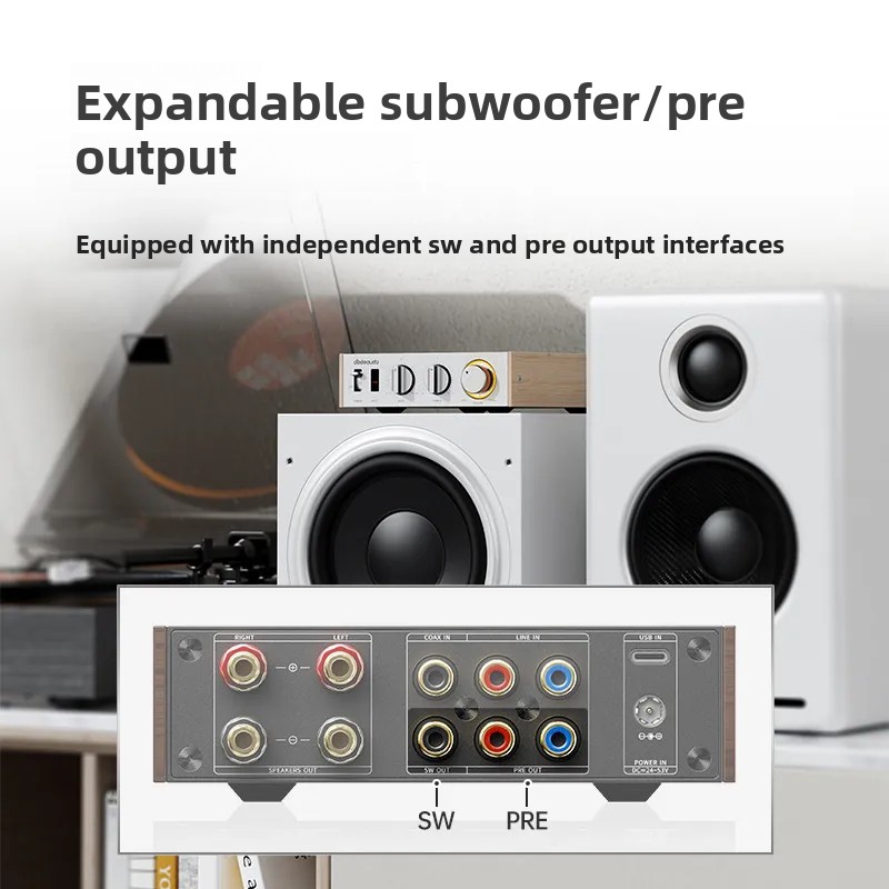 FiiO Horizon Level 1 High Powe - огляд і ціна Audio Music System For Home