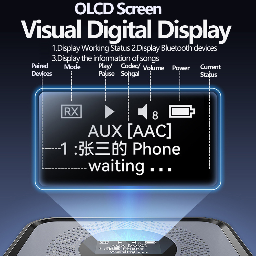 OLCD Bluetooth 6.0/5.2 Audio R - огляд і ціна Music Audio Pro