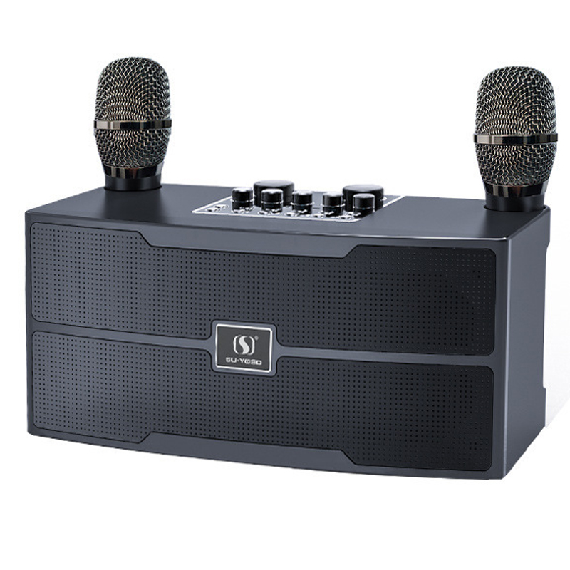 120W High Power Wireless Porta - огляд і ціна Audio X Music